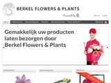BERKEL FLOWERS BV