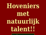 KLEIN HOVENIERS CEES & ZN