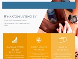 HY-A CONSULTING BV