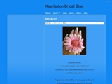 BRIDAL BLUE NAGELSALON