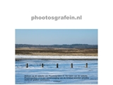 PHOOTOSGRAFEIN.NL