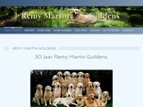 REMY MARTIN GOLDENS