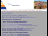 BRONS CONSULTING