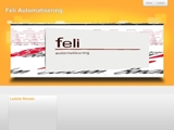 FELI AUTOMATISERING