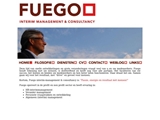 FUEGO INTERIM MANAGEMENT & CONSULTANCY