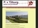 KWEKERIJ P VAN TILBURG BV