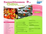 FONTIJN ZOMERBLOEMEN PLUKTUIN ANNE-MARIE