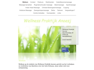 WELLNESS PRAKTIJK ANOESJ