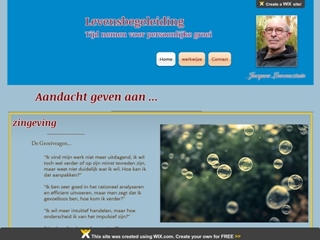 LEWENSZTAIN J N