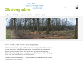 ZILVERBERG ADVIES