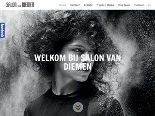 SALON VAN DIEMEN