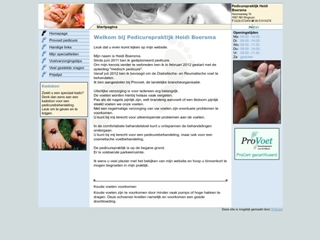 BOERSMA PEDICUREPRAKTIJK HEIDI