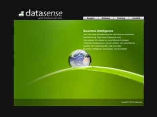 DATASENSE