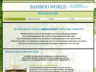 BAMBOO WORLD