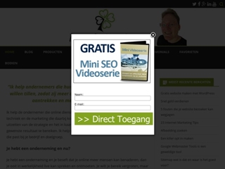 INTERNET MARKETING MENTOR