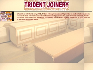 TRIDENT BOUW SERVICES