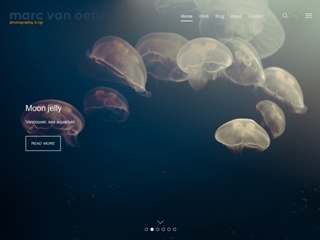 MARC VAN OENE STUDIO