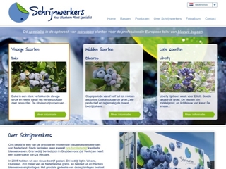 SCHRIJNWERKERS BLAUWE BESSEN PLANTENKWEKERIJ